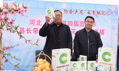 秦皇岛市卢龙县长带货云上赏花 旅游冲上“云端